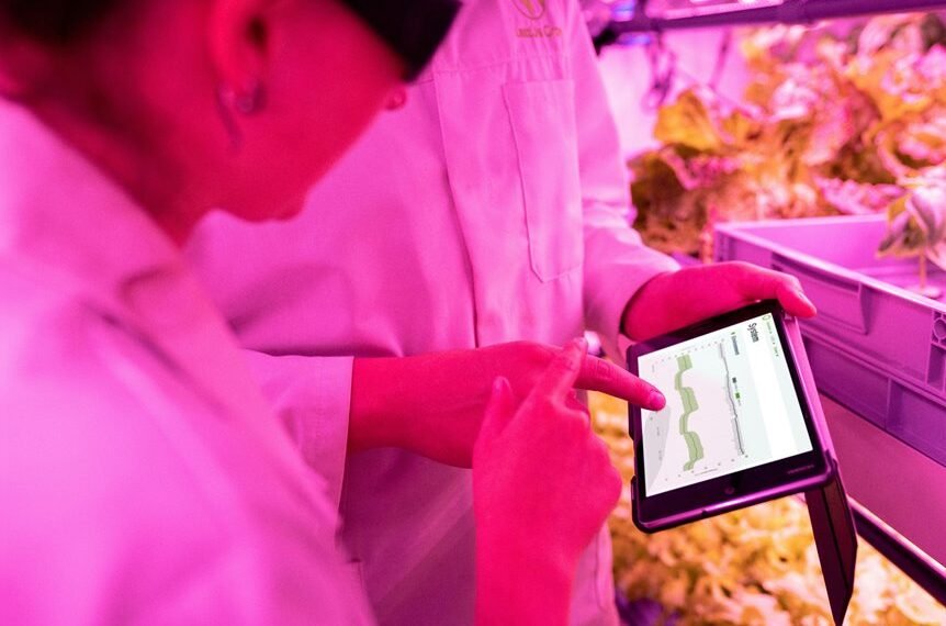 maximize growth with tools